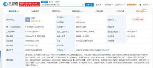 四川路橋比亞迪合資礦業公司注銷 跨界合作落幕，互聯網銷售模式下的礦業轉型反思